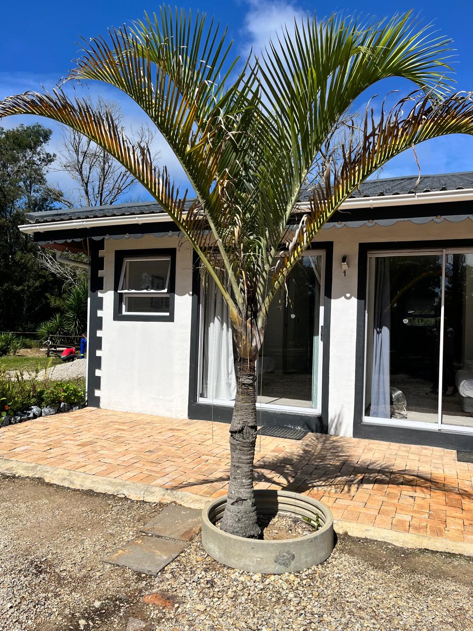 WhatsApp Image 2025-03-31 at 12.52.21_ec6e3c05